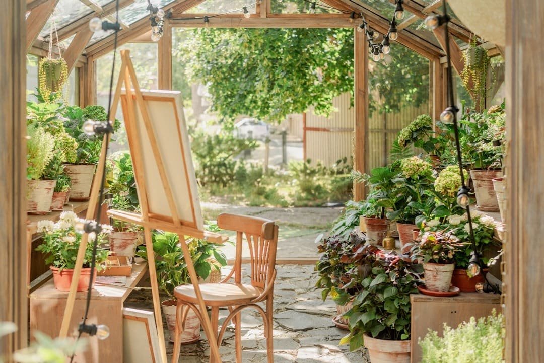 Wooden easel and chair on greenhouse path with plants.