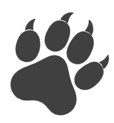 Galleri Puma-Poten